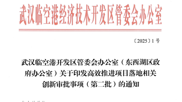 东西湖区政府办公室关于印发高效推进项目落地相关创新审批事项（第二批）的通知