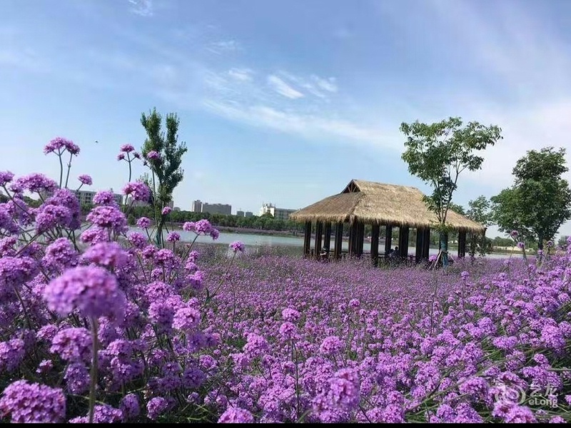 微信图片_20251010163013